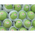 Высокое качество Fresh Green Gala Apple